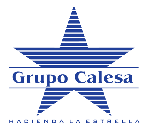 Grupo Calesa logo 2